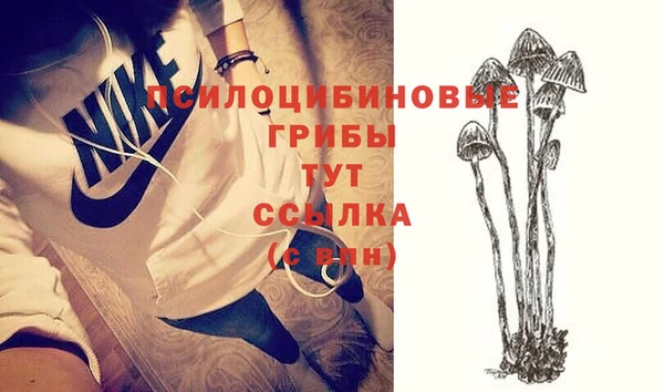 мескалин Заводоуковск