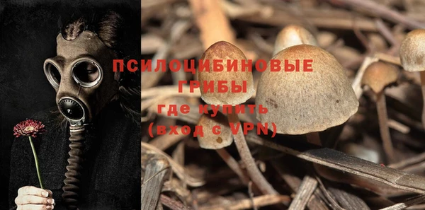 мескалин Заводоуковск