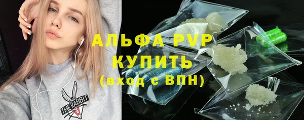 гашик Тайга