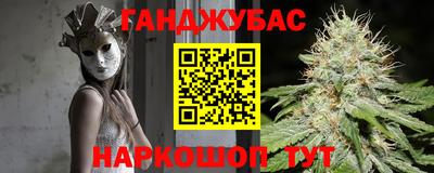 шишки Гусиноозёрск