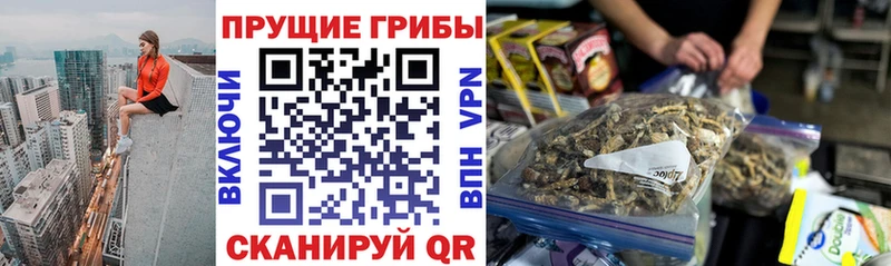 Галлюциногенные грибы Cubensis  Тула 